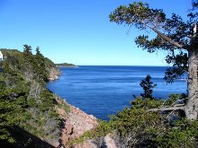 Click to see IMG_0396.JPG