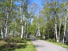 Click to see IMG_0434.JPG