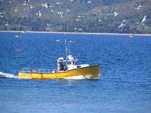 Click to see IMG_0442.JPG