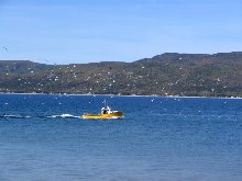 Click to see IMG_0443.JPG