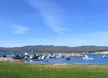 Click to see IMG_0446.jpg