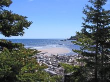 Click to see IMG_0471.JPG