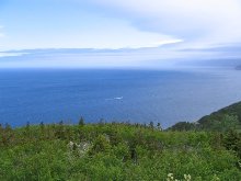 Click to see IMG_0628.JPG